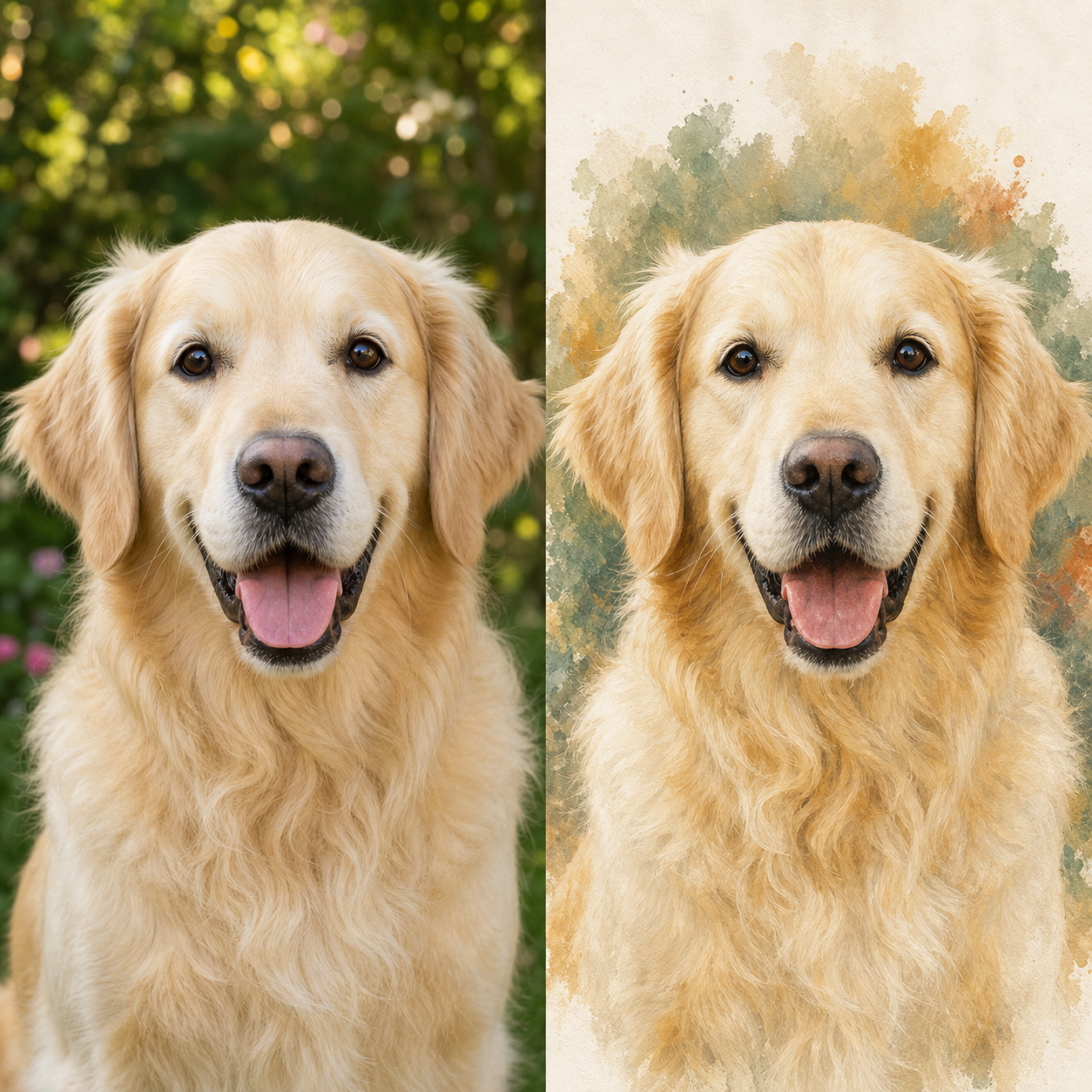 Custom pet portrait from photo, before and after proof comparison, made in USA